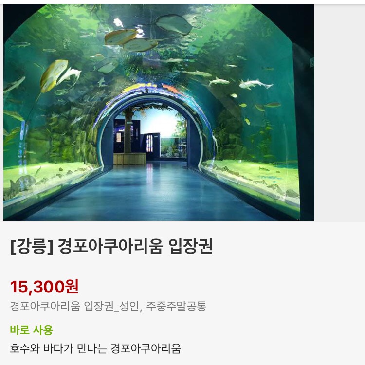 (주)경포아쿠아리움 이미지