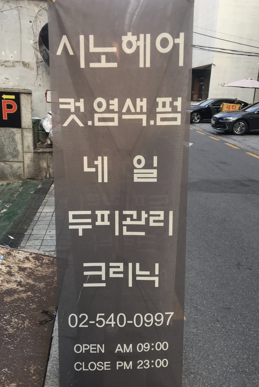 시노헤어 이미지