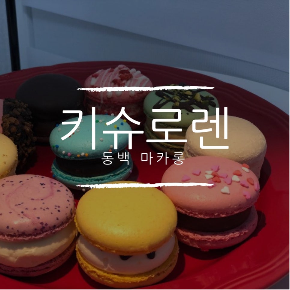 동백뚱 이미지