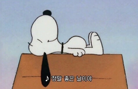 민주네 이미지
