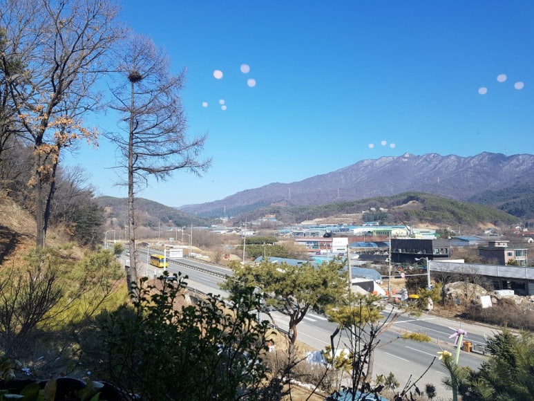 솔마루커피 이미지