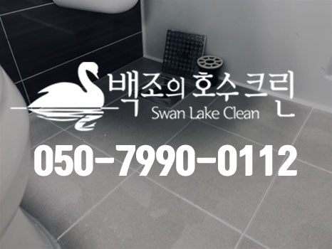 백조의호수크린 이미지