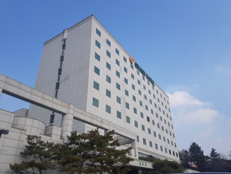 춤추는왕만두 이미지