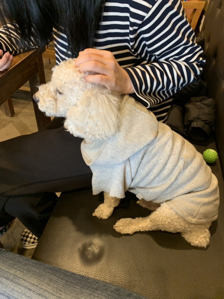 고기카페 이미지