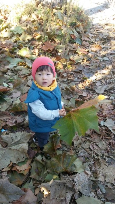 도담아이어린이집 이미지