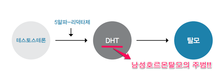 편한마디연합의원 이미지