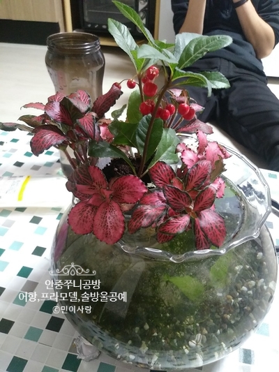 금하공방 이미지