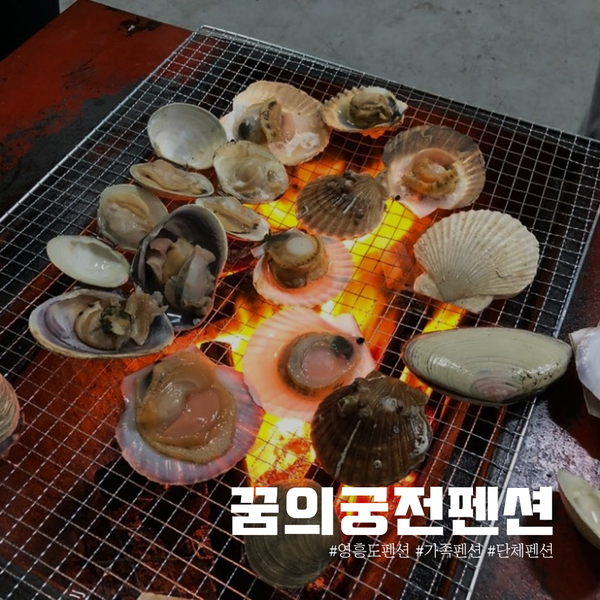 꿈의궁전펜션 이미지