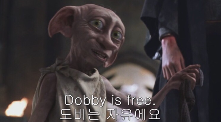 도비의선물 이미지
