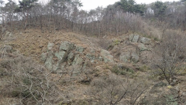 영심반찬 이미지