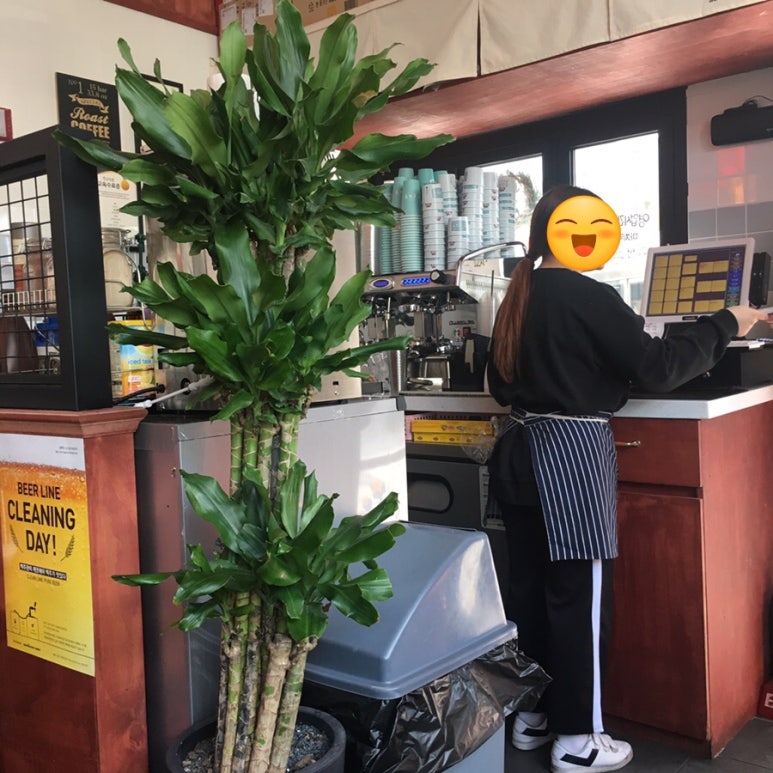 청년다방용인기흥역점 이미지