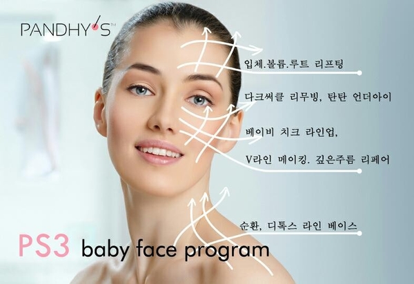판디스 이미지