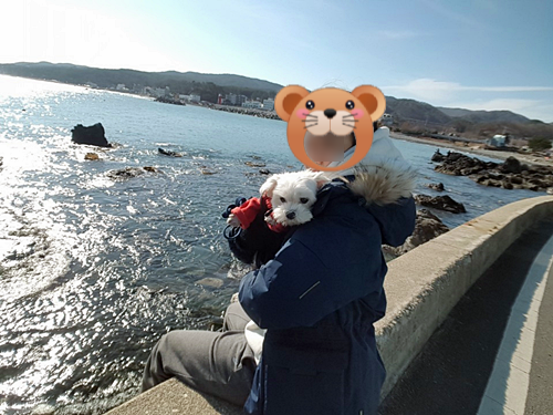 바다산책민박 이미지