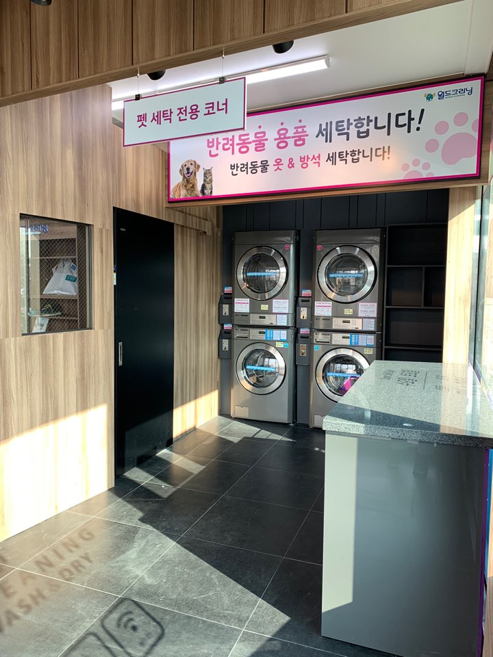 월드크리닝코인월드부산 이미지