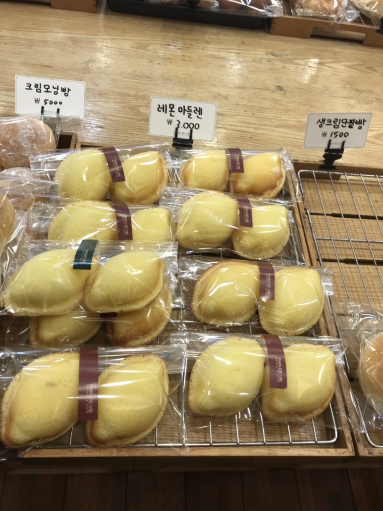 뺑드비 이미지