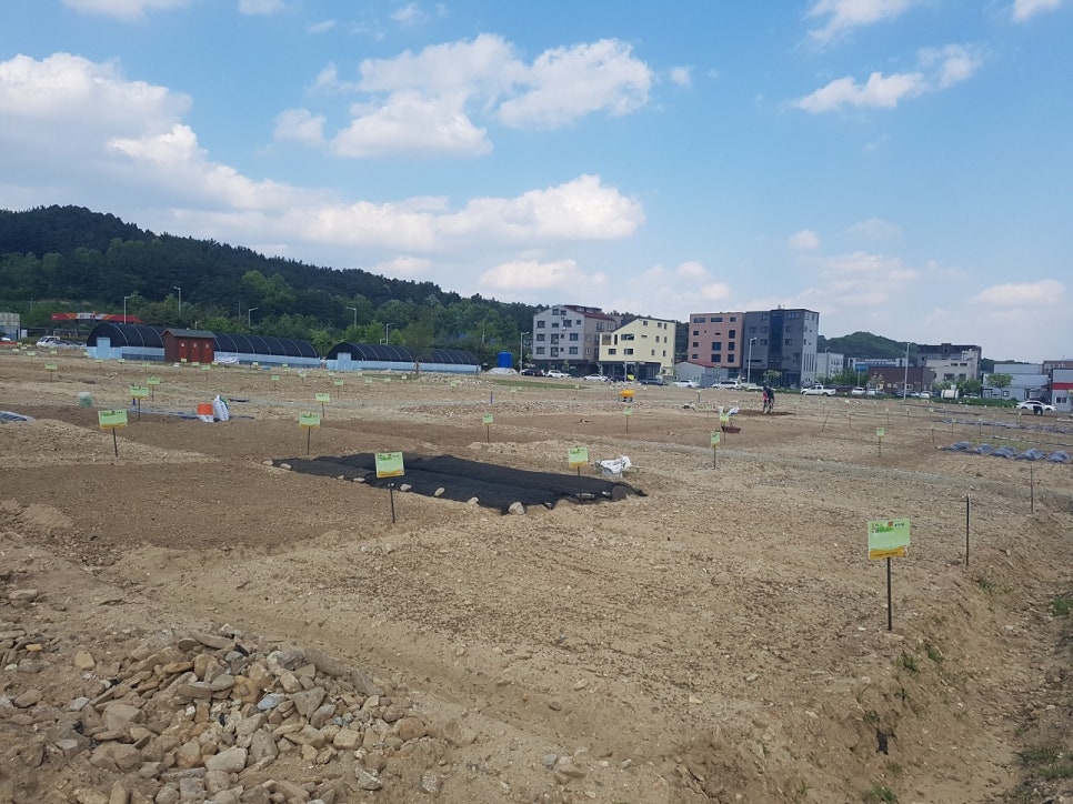 텃밭2 이미지