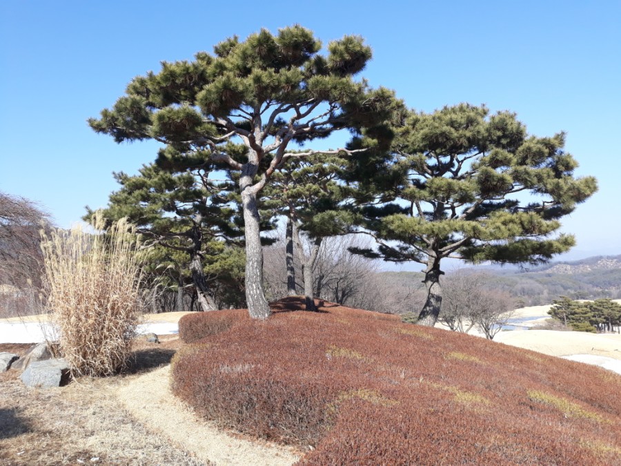 양평2게임클럽 이미지