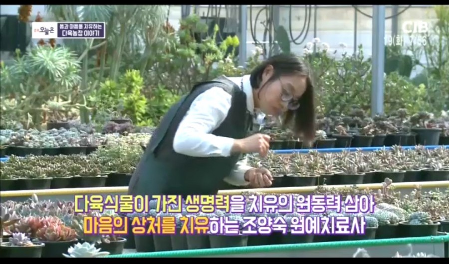다육촌 이미지