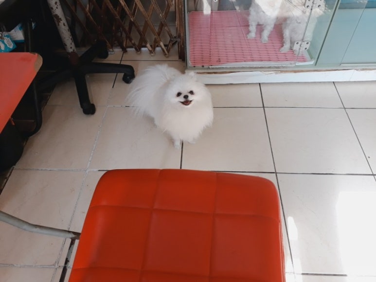 호텔루이 이미지