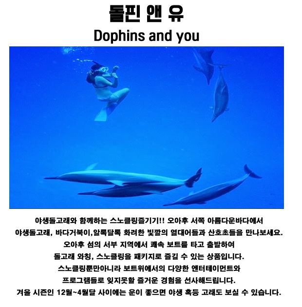 트립앤유 이미지