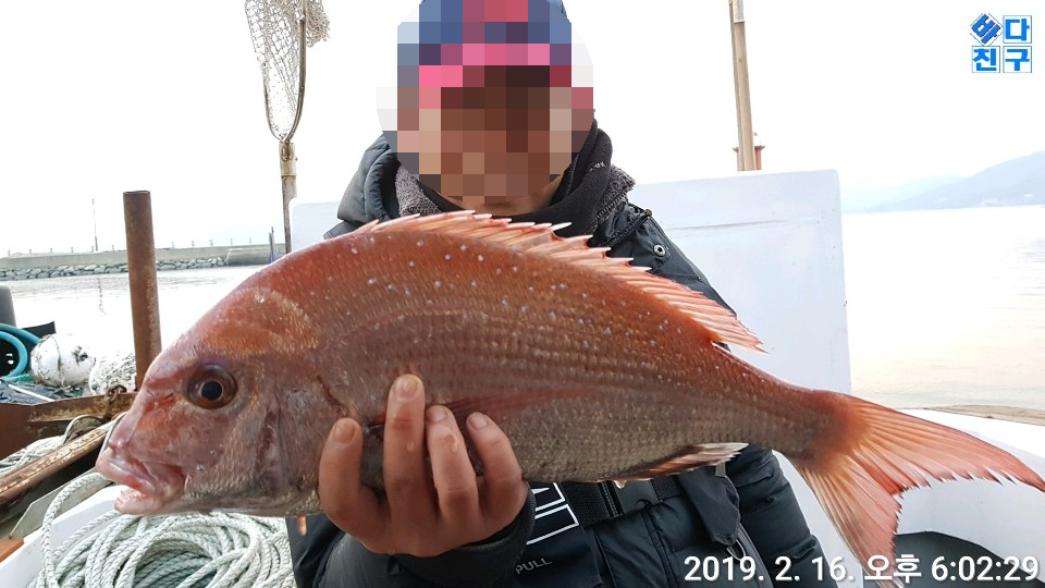 바다친구 이미지