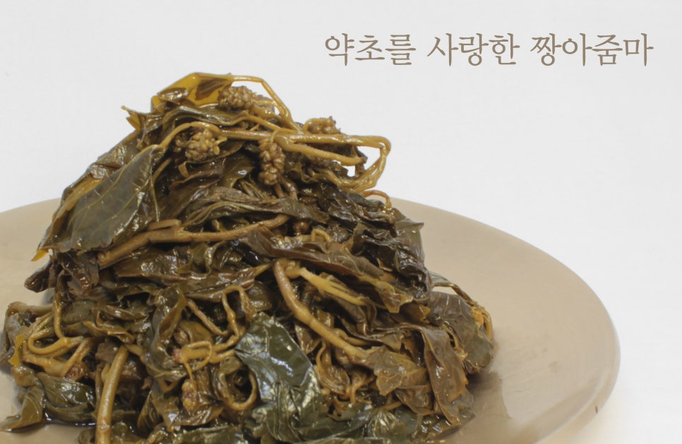 약초를사랑한짱아줌마 이미지