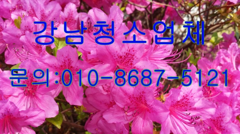 오케이청소 이미지