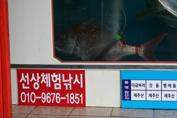 전망대횟집 이미지