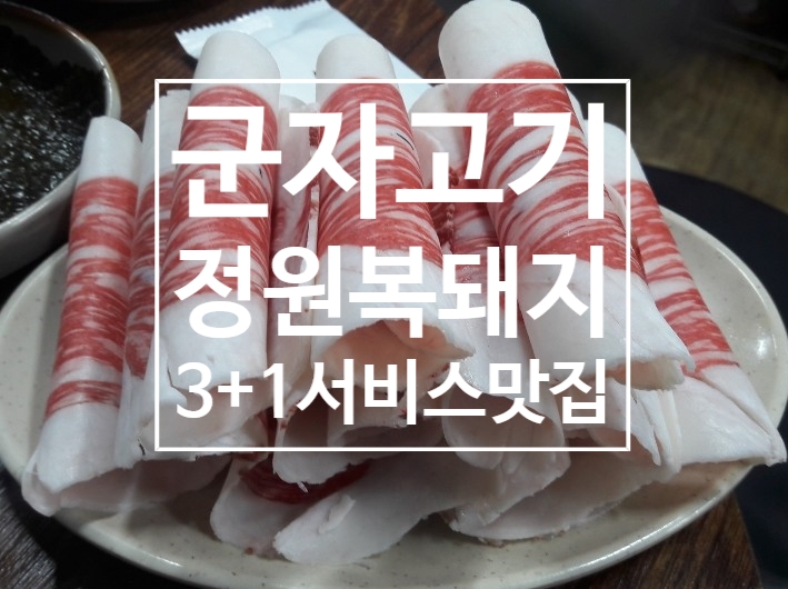 정원복돼지 이미지