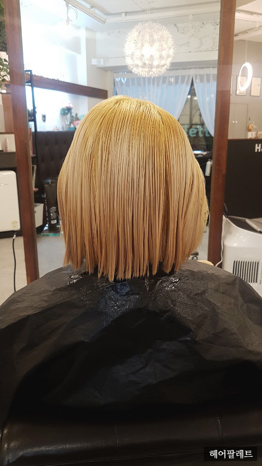 헤어팔레트 이미지