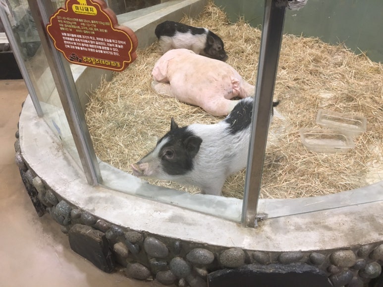 한고집식육식당 이미지