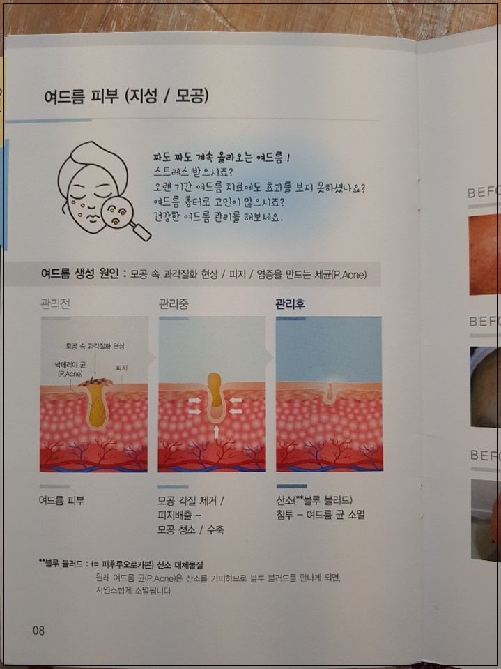메종드에스떼 이미지