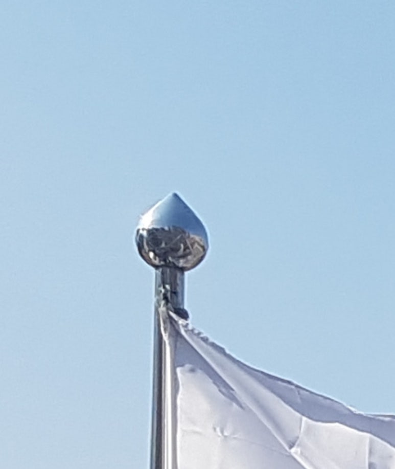 신선여자고등학교 이미지