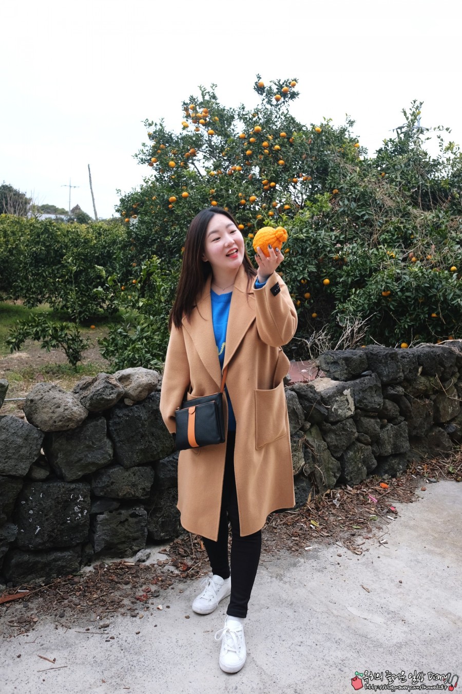 동백수산 이미지