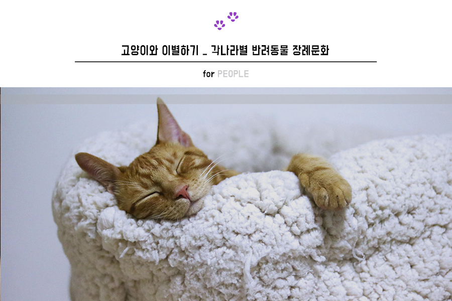 장례나라 이미지