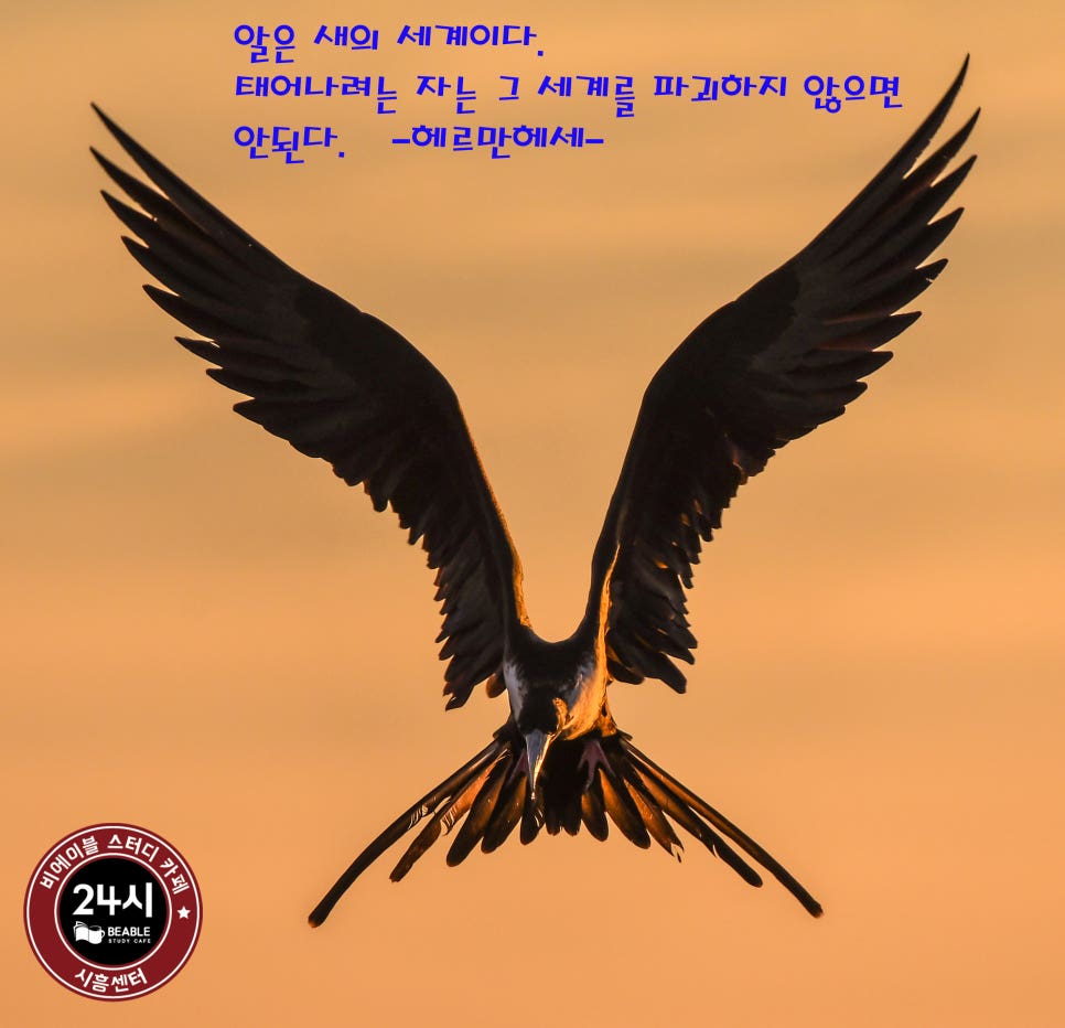 데미안스터디카페 이미지
