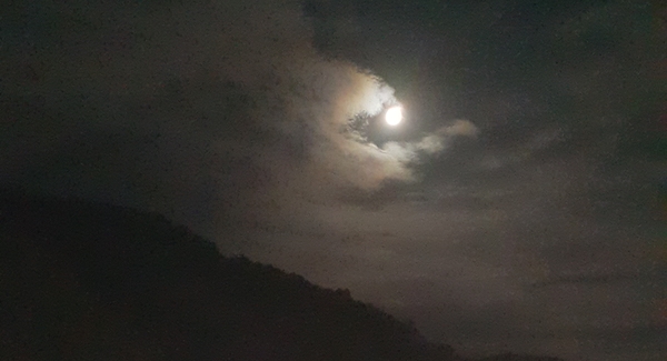 밝은행정사사무소 이미지