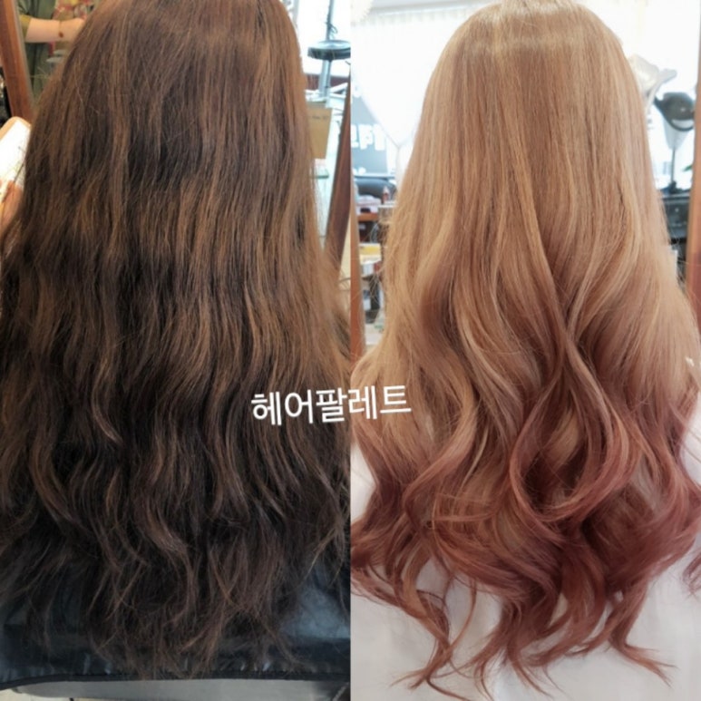 헤어팔레트 이미지