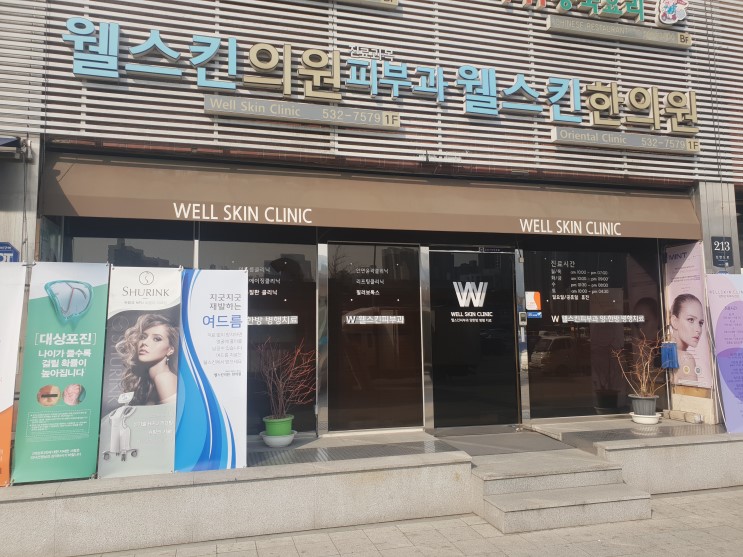 웰스킨 이미지