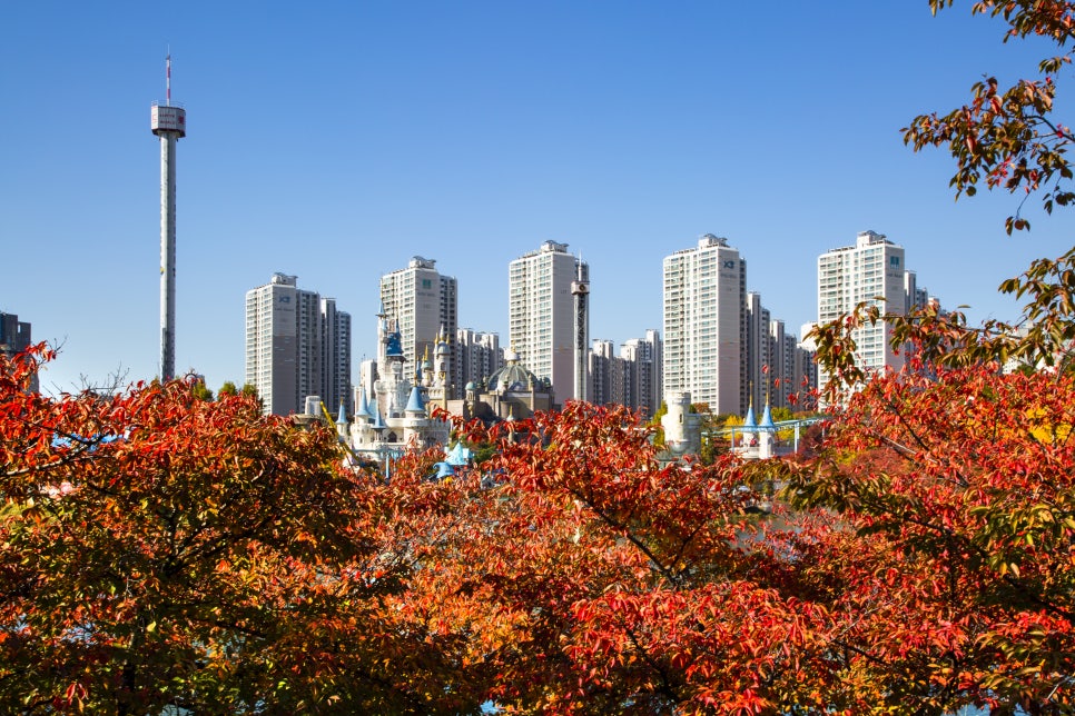 신세대통상 이미지