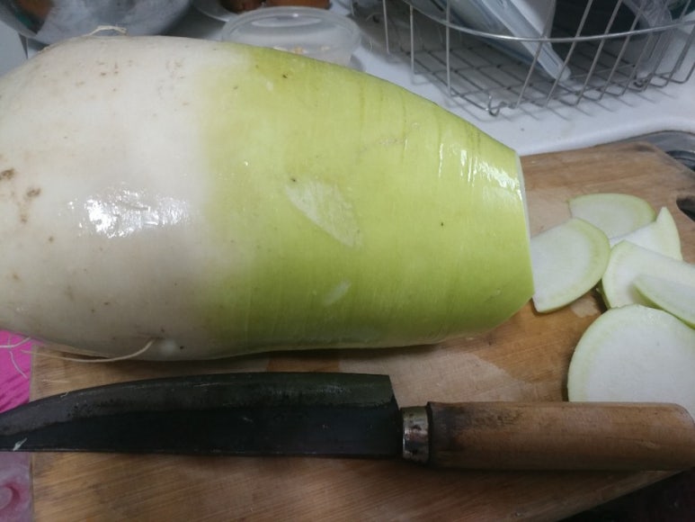 복동농장 이미지