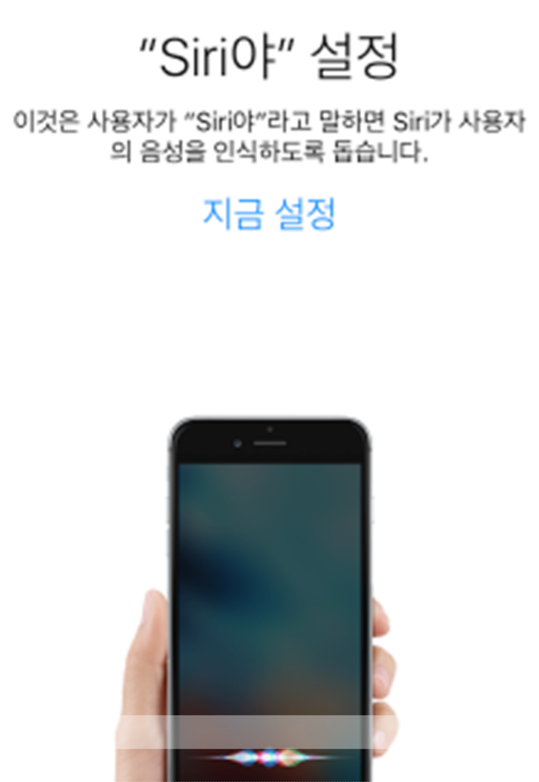 시리 이미지
