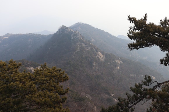 낙원복떡방 이미지