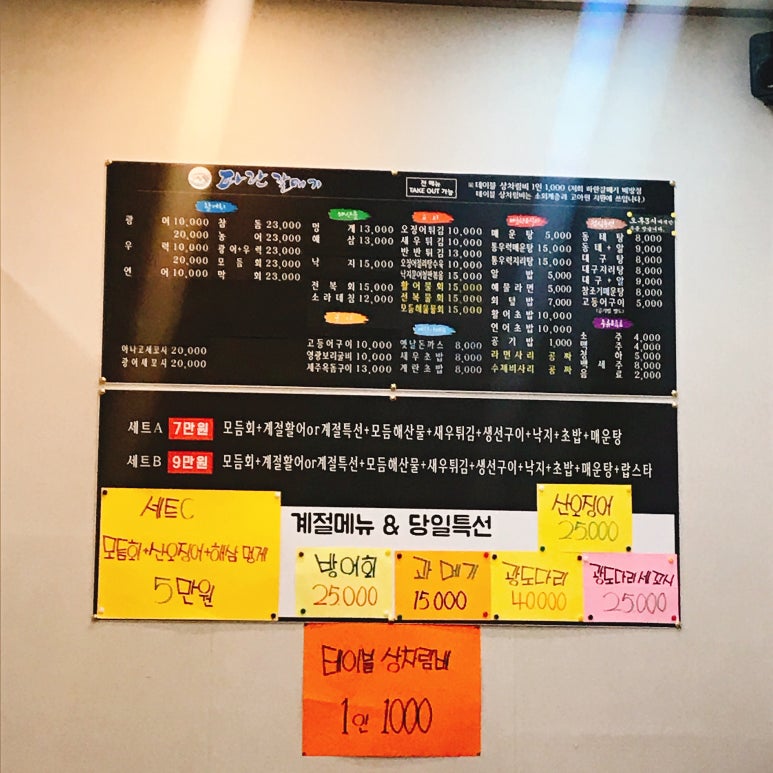 파란갈매기 이미지