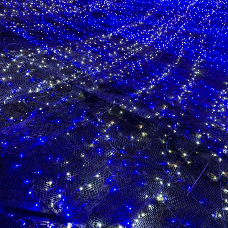 프로방스양궁장 이미지