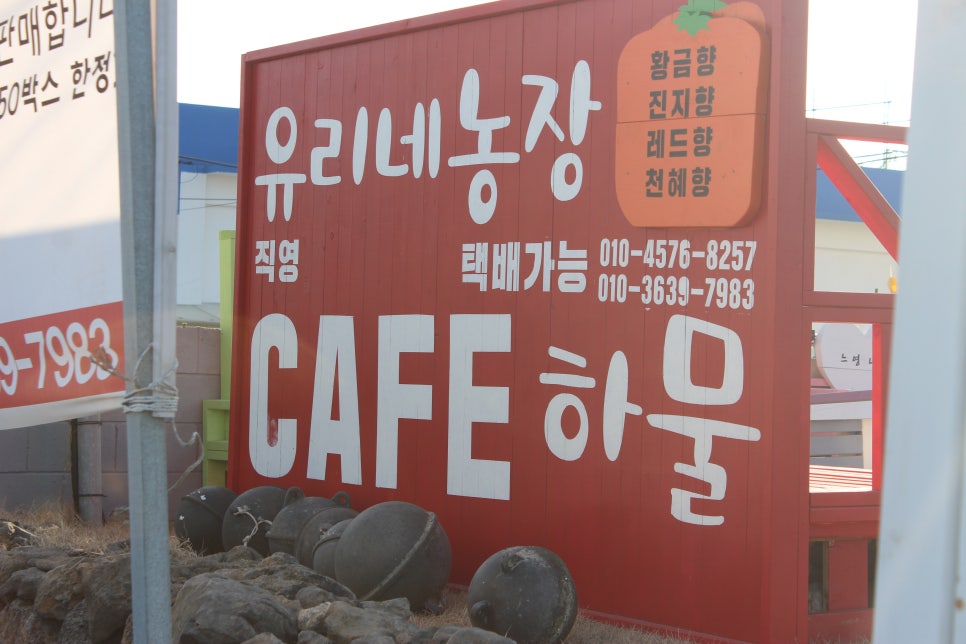 유리네과일 이미지
