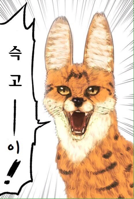 버거치즈스마일 이미지