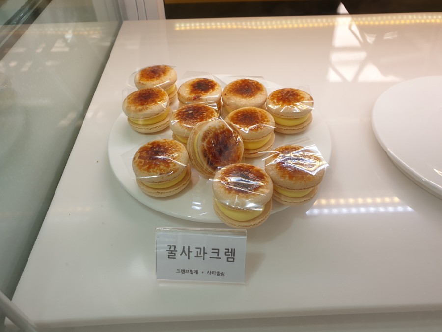 알로하올라 이미지