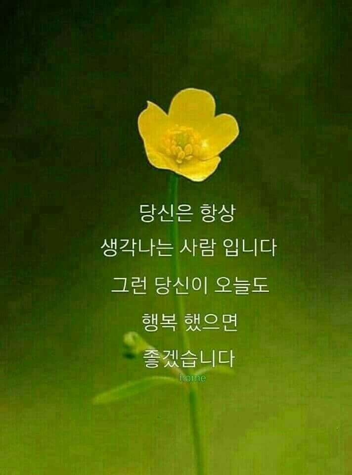 행복만복이 이미지