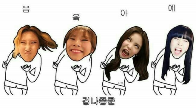 바이코몰 이미지